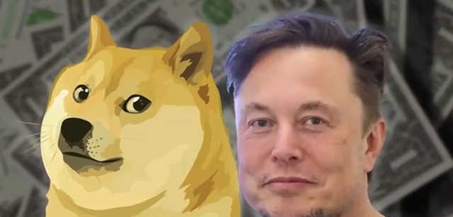 Cuantificación de perros